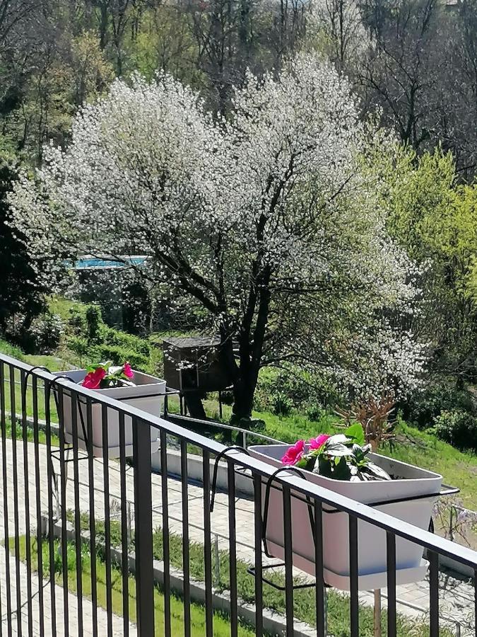 Bed and Breakfast Il Ciliegio Di Zoe Cerro  Exterior foto